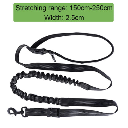 Elastic buffering explosion-proof flushing multifunctional dog walking chain, dog traction rope, pet supplies, running rope