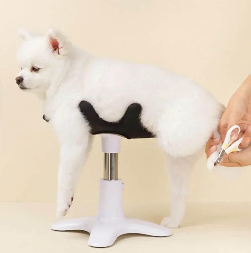 dog grooming stand Shower and care table dog Assisted Standing Small dog for Grooming pet bathing hair dryer fixed bracket